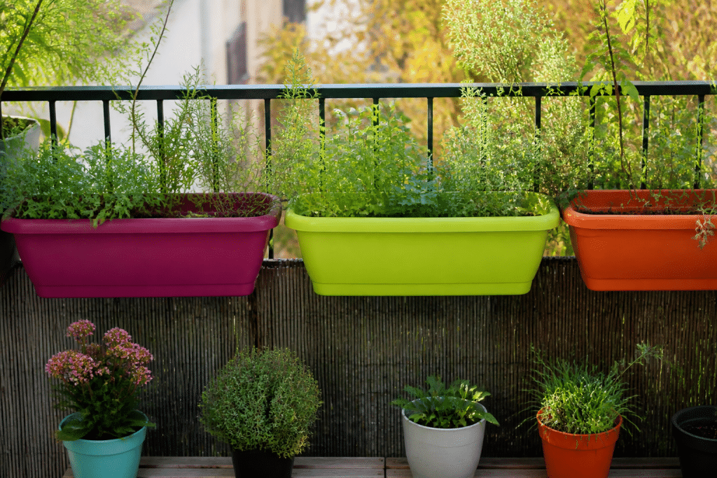 Balcon avec jardinières colorées remplies de plantes vertes