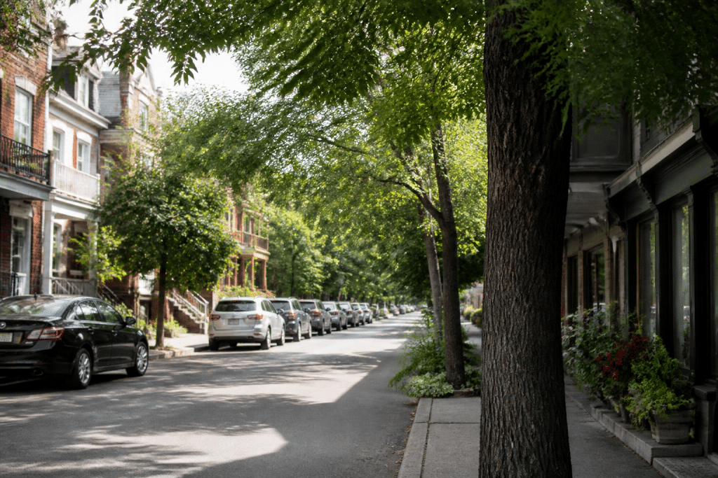 Maisons calmes entourées d'arbres verts et commerces locaux visibles