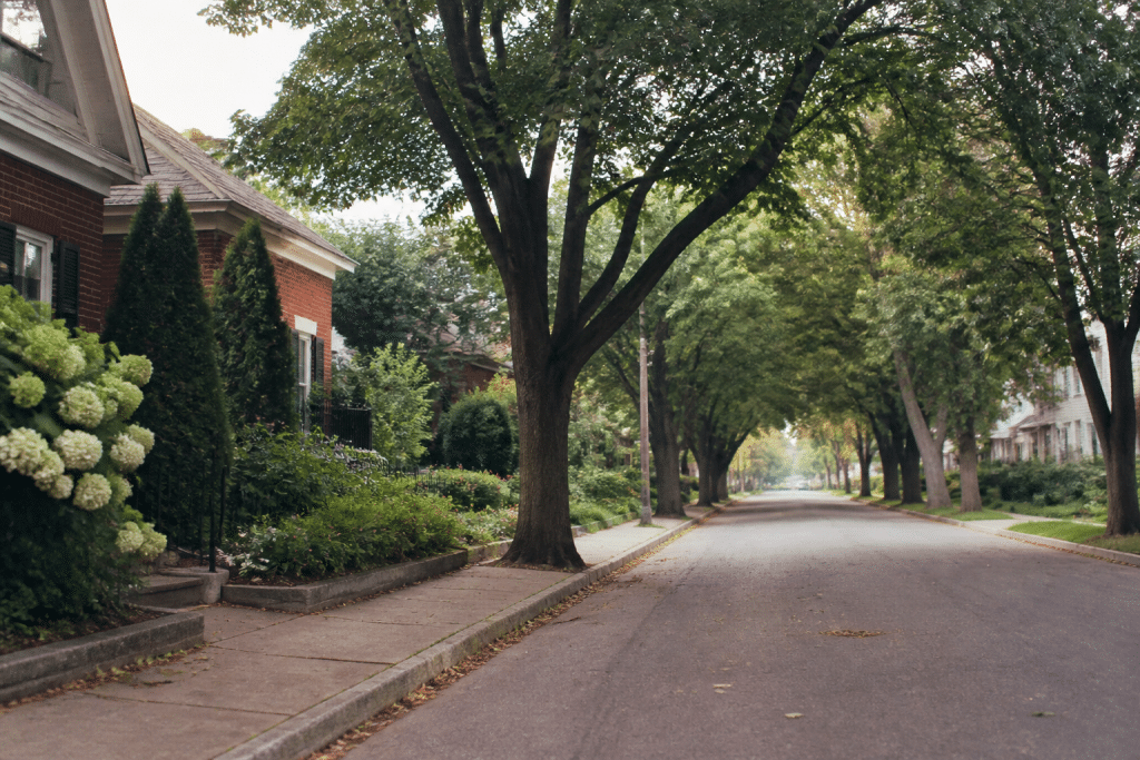 Maisons tranquilles avec arbres, rue résidentielle calme
